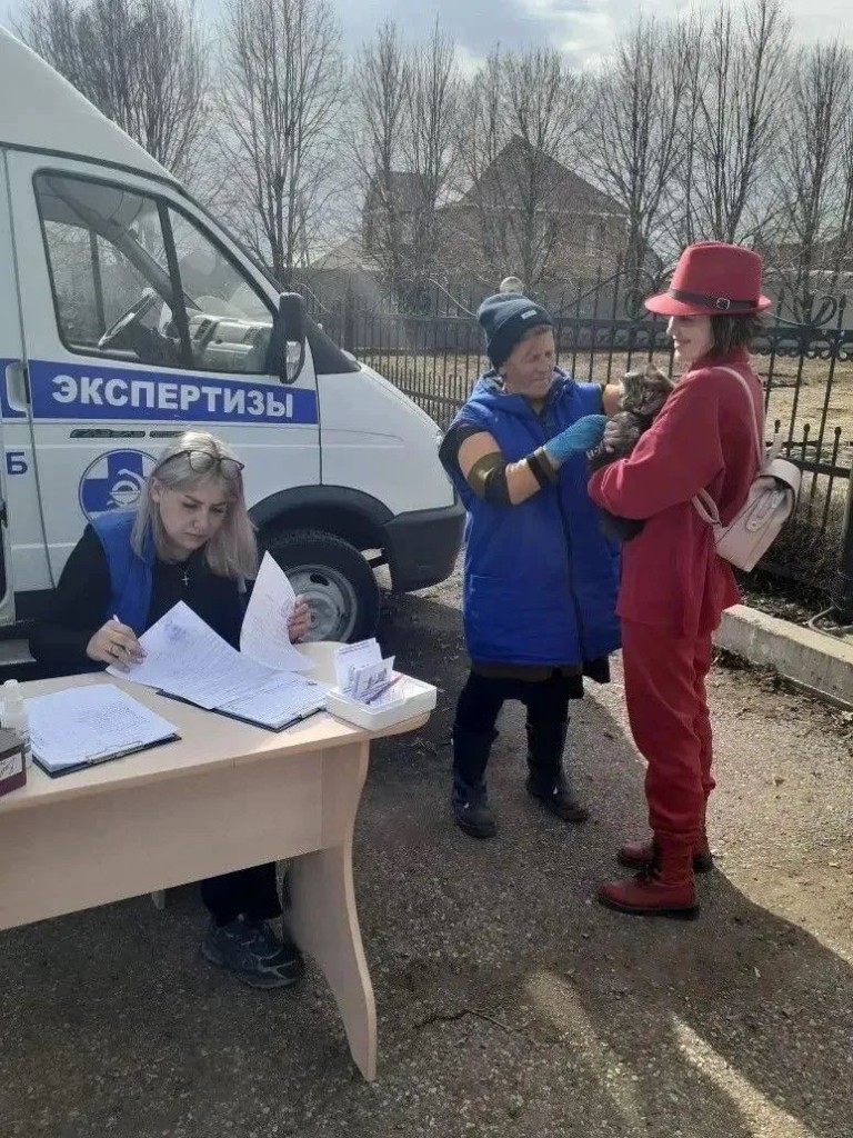 Массовая вакцинация и учёт домашних животных: в Стерлитамакском районе побывал ветеринарный «Поезд здоровья»