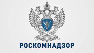 Роскомнадзор попросили составить список запрещенной для использования в СМИ лексики