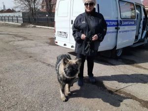 Массовая вакцинация и учёт домашних животных: в Стерлитамакском районе побывал ветеринарный «Поезд здоровья»