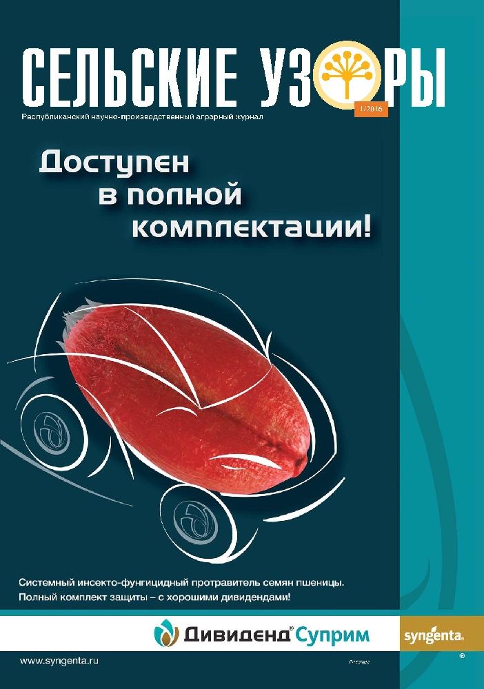 Сельские узоры